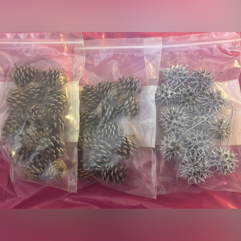 Decorative Pine Cones and Seed Pods Set
